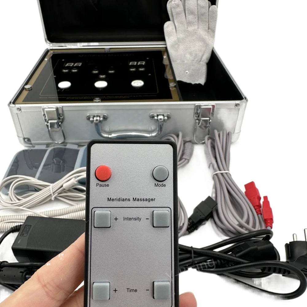 Health And Wellness Products Bio Meridian Energy Therapeutic Apparatus EMS Muscle Stimulator Bioenergy Massage Device