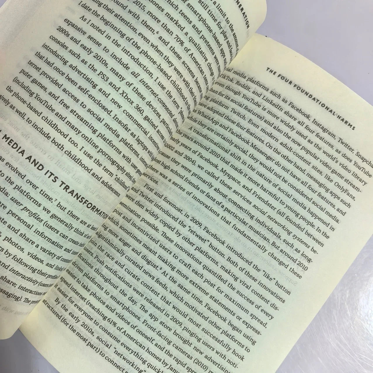 Bview Art The Anxious Generation: NYT Bestseller on Digital Age Anxiety & Mental Wellness Guide