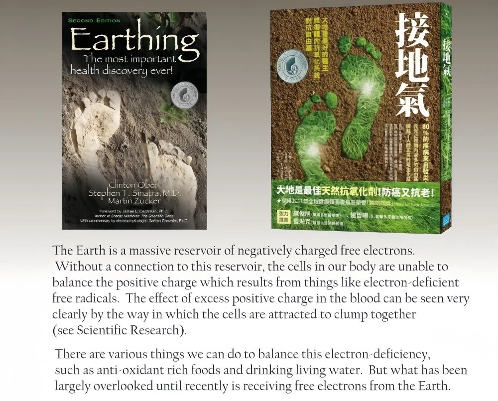 Grounding Sheets King Size - Organic Cotton and Silver Fiber, Grounding Fitted Sheet Wellness Sleep