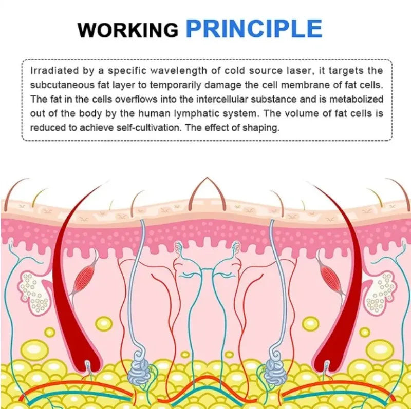 جهاز LuxMaster Emerald Laser Slim 2025 لعلاج فقدان الدهون في الجسم باستخدام ليزر 10D للصحة والعافية
