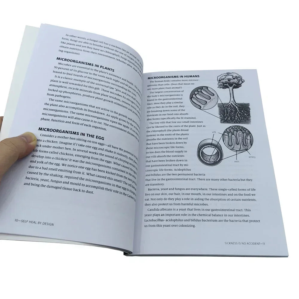 Heartfelt Sustain Me Barbara ONeill Romance Health Emotional Wellness