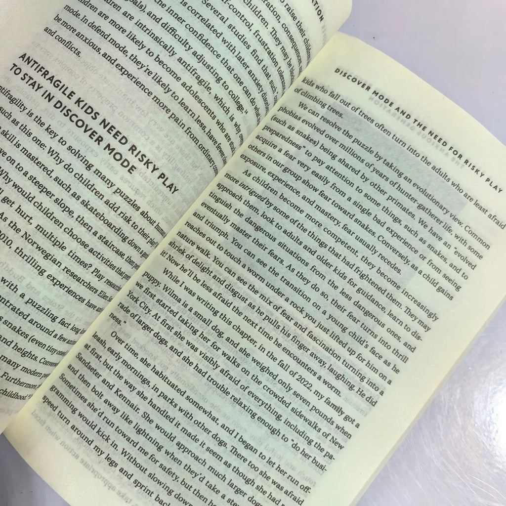 Bview Art The Anxious Generation: NYT Bestseller on Digital Age Anxiety & Mental Wellness Guide
