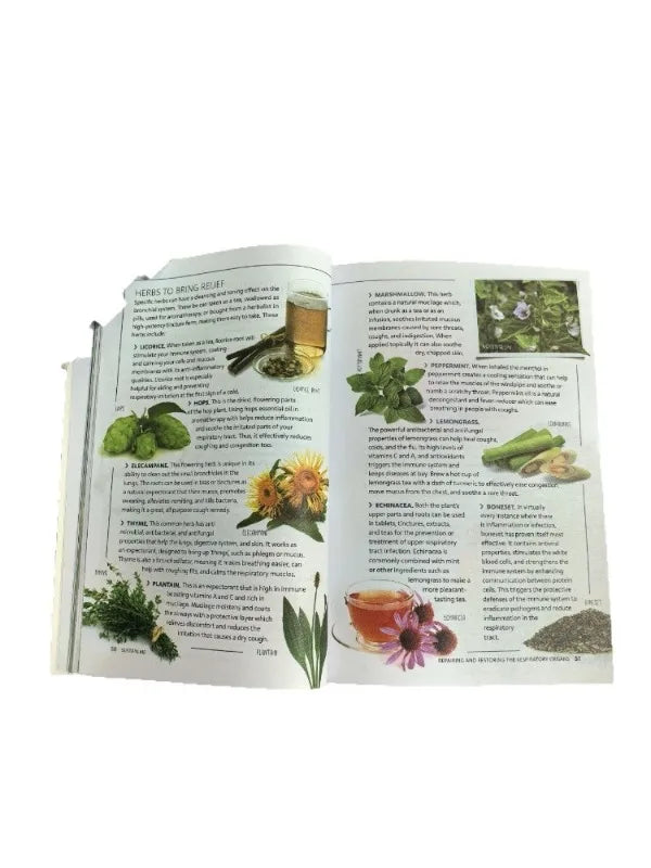 "Sustain Me" by Barbara O'Neill: Natural Healing & Holistic Health Remedies - Practical Wellness Guide for Modern Life