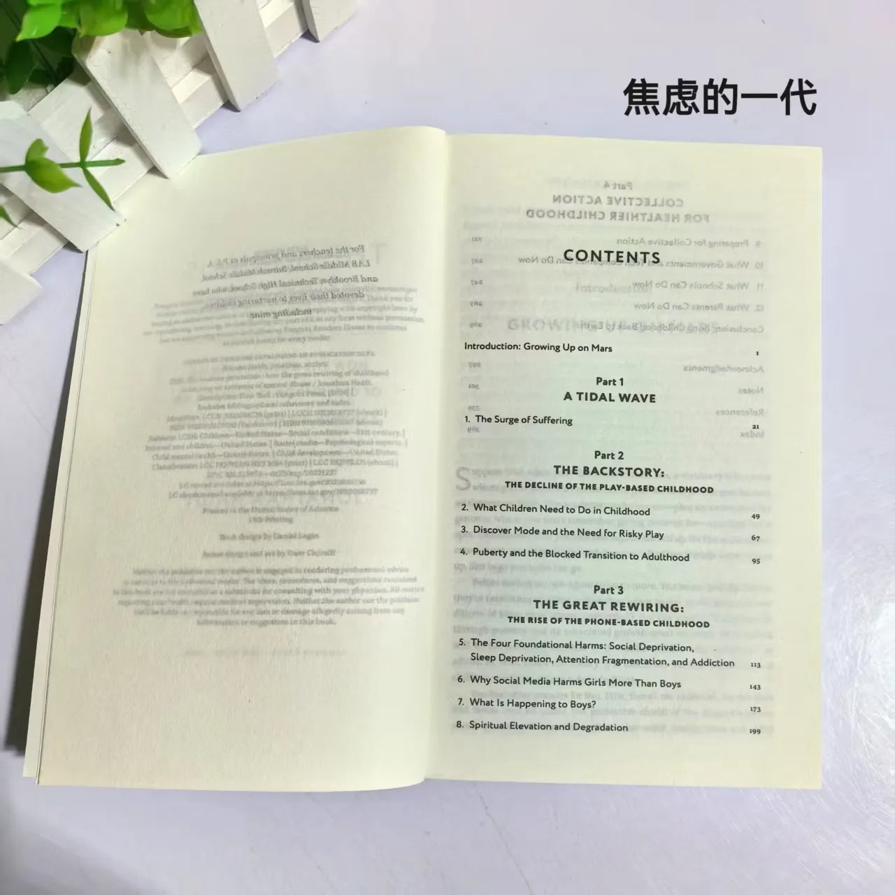 Bview Art The Anxious Generation: NYT Bestseller on Digital Age Anxiety & Mental Wellness Guide