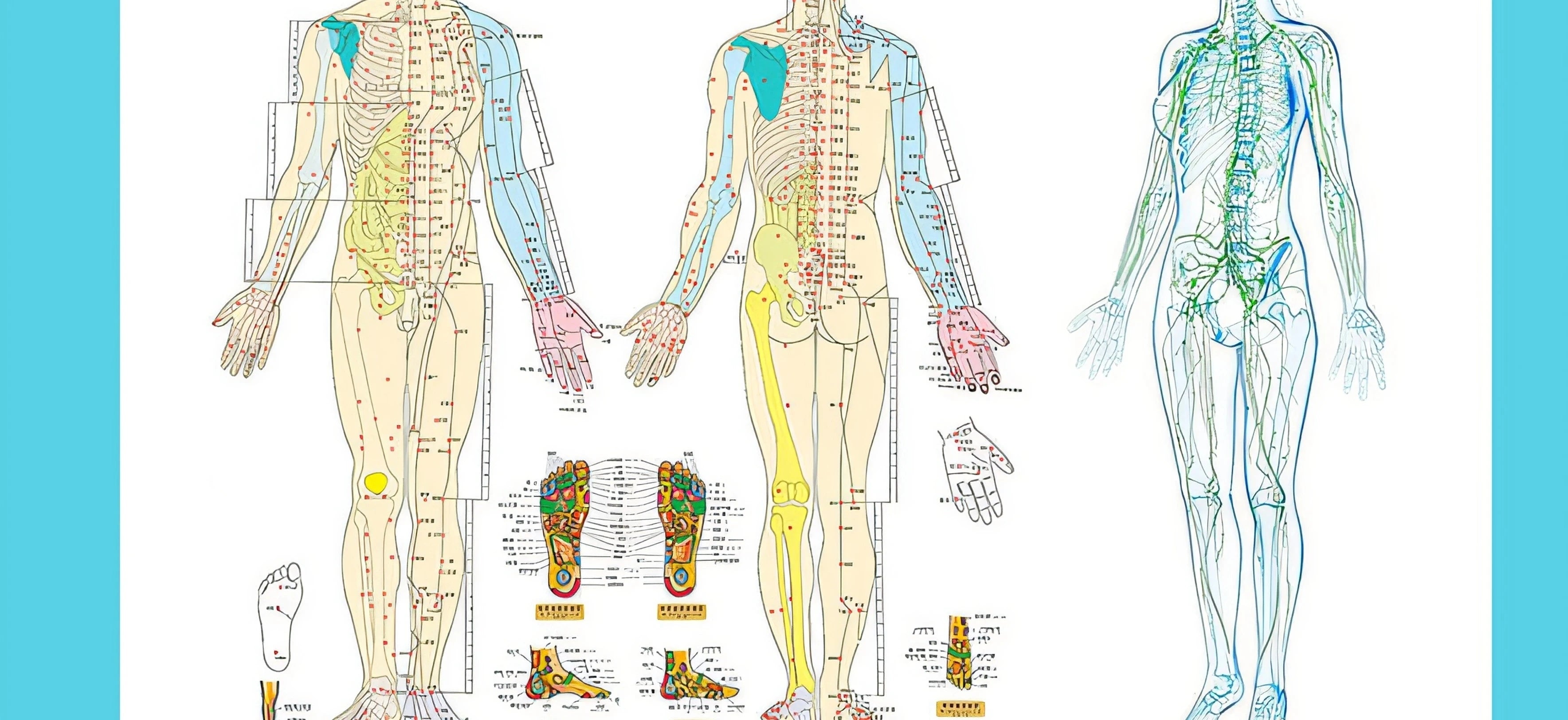 جهاز صحة الخلايا، جهاز تقلبات الصحة، جهاز إدارة كانجمي للتخسيس، تدليك مانا السري