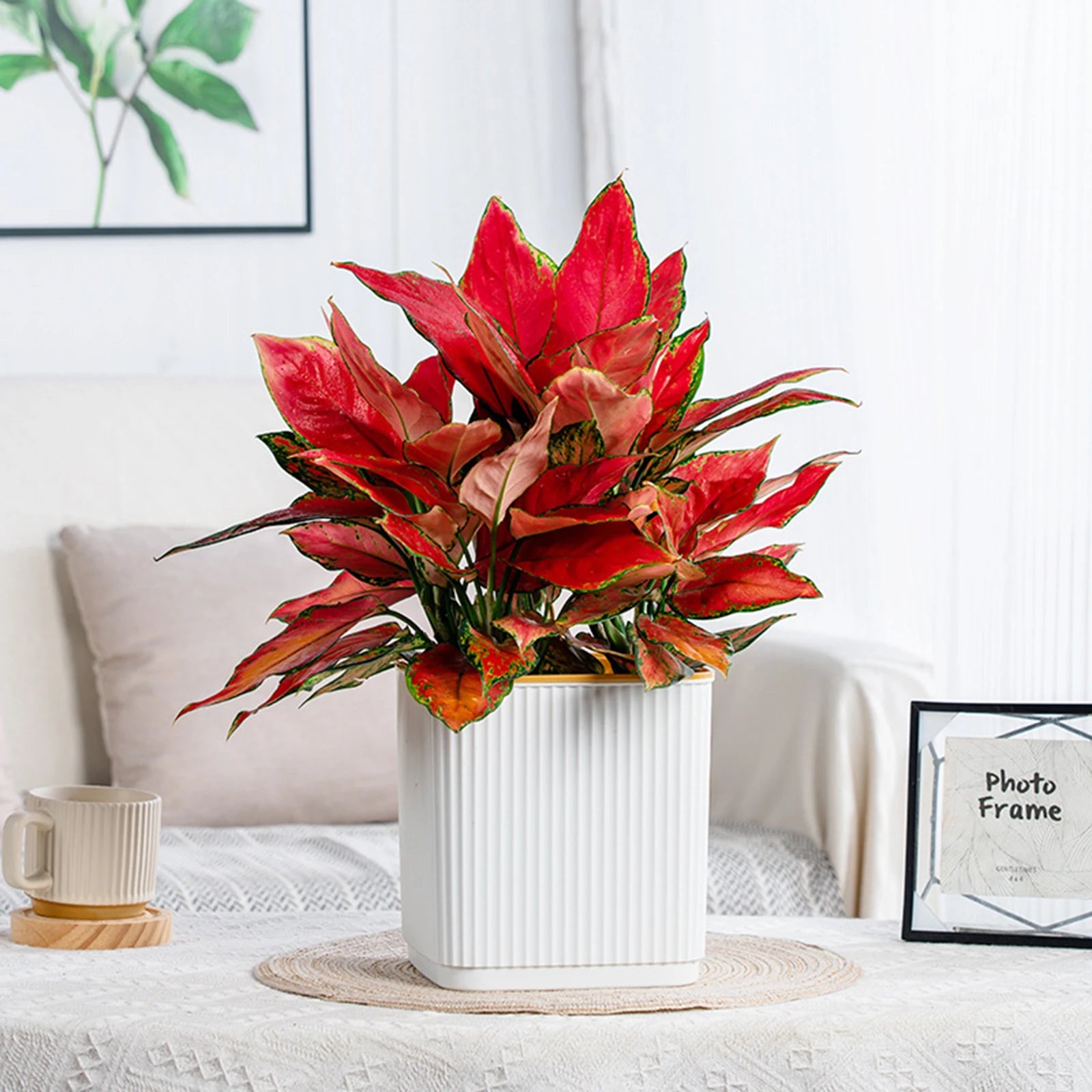 Hydroponic Green Plant Plastic Vase Modern Home Self Watering Flowerpot for Garden Enthusiast Lover Gift